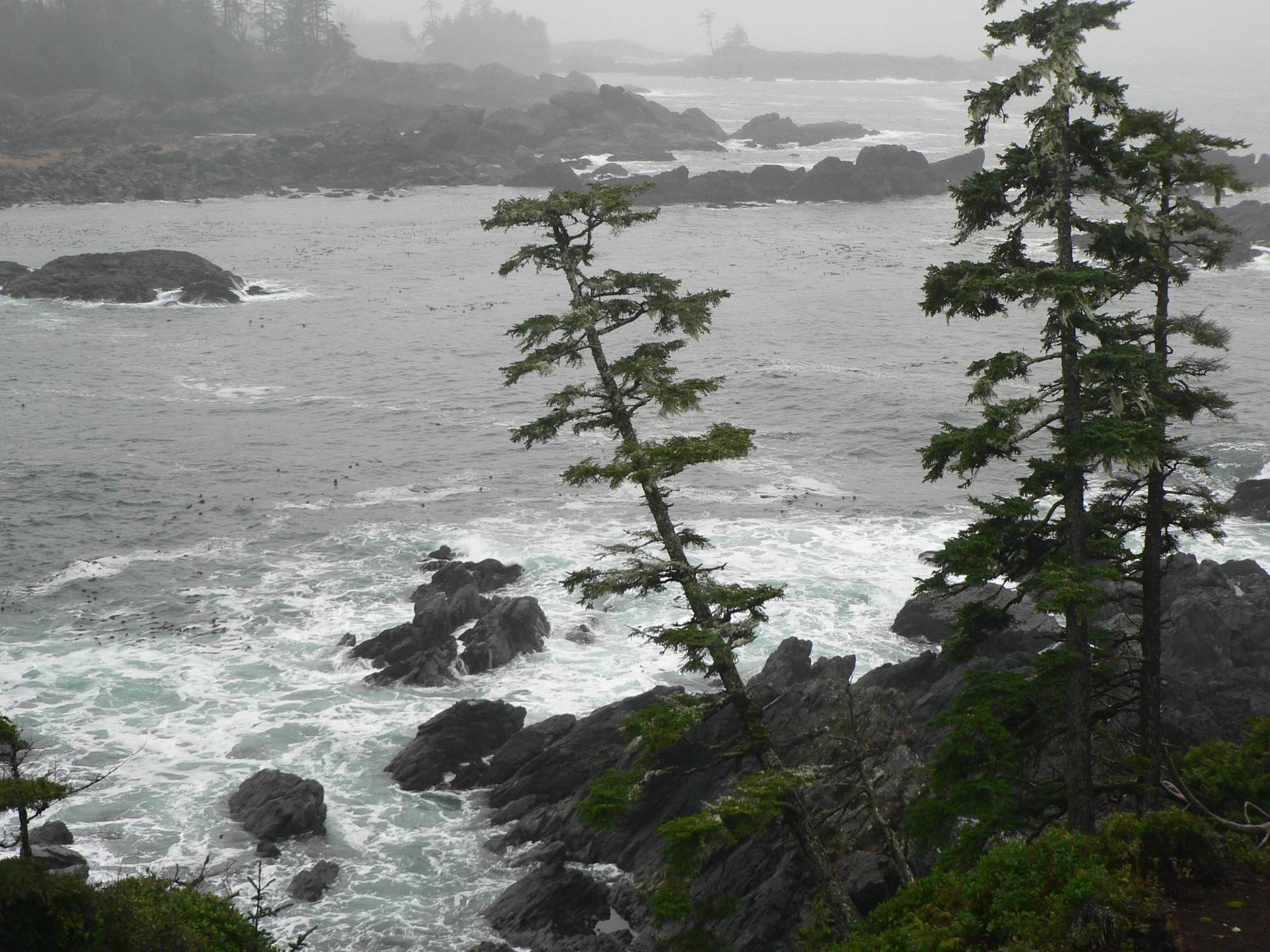 Black Rock Oceanfront Resort Ucluelet Exterior foto